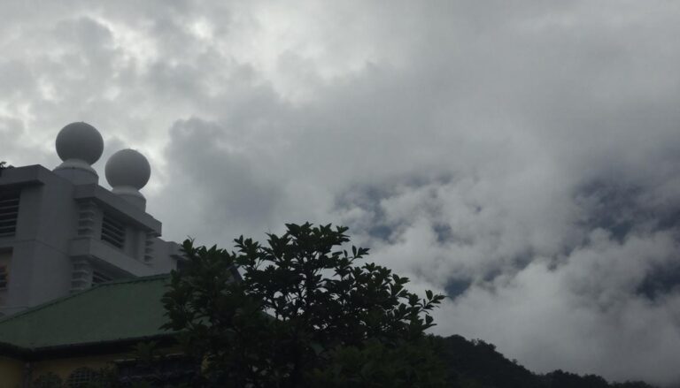 ontdek de unieke kenmerken van de meest nieuwsgierige en observerende katten. leer hoe deze katten hun omgeving verkennen met scherpe zintuigen en een opmerkelijke aandacht voor detail.