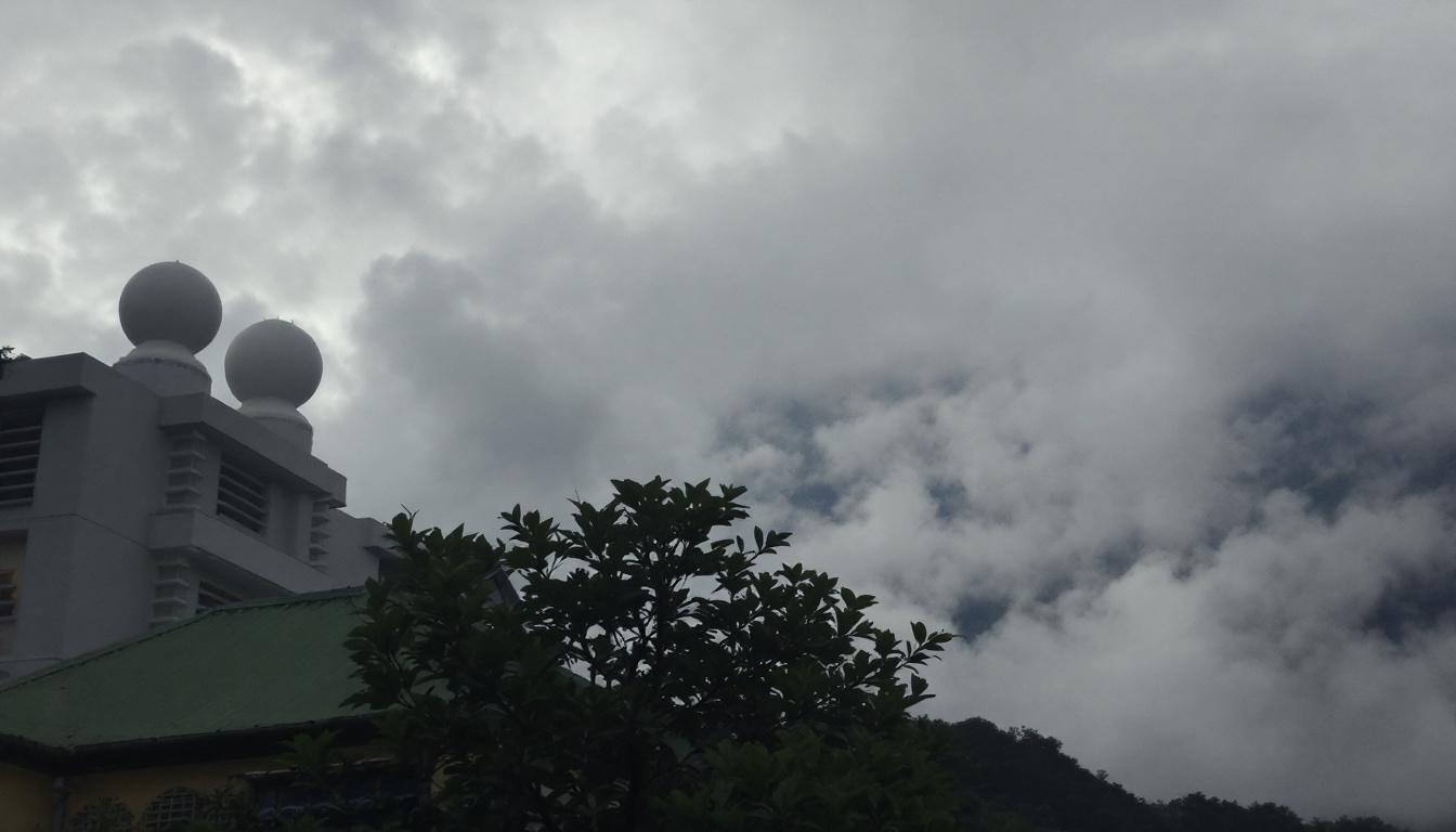 ontdek de unieke kenmerken van de meest nieuwsgierige en observerende katten. leer hoe deze katten hun omgeving verkennen met scherpe zintuigen en een opmerkelijke aandacht voor detail.